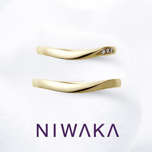 【俄(にわか)】雪芽吹 YUKIMEBUKI