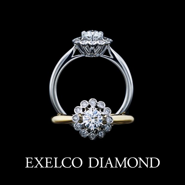 【エクセルコダイヤモンド(EXELCO DIAMOND)】《Plaisir~プレジィール~》