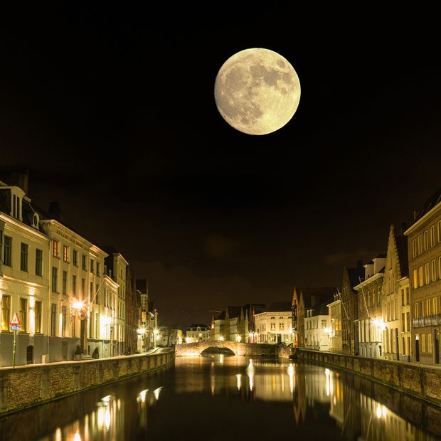 【エクセルコダイヤモンド(EXELCO DIAMOND)】《Clair de Lune Fine~クレア ド ルーン フィーヌ~》