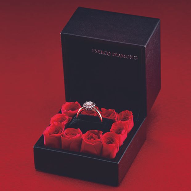 【エクセルコダイヤモンド(EXELCO DIAMOND)】《Rose Box~ローズボックス~》