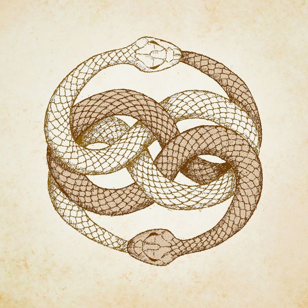 【エクセルコダイヤモンド(EXELCO DIAMOND)】《Serpent &Eacute;ternel～セルパン エターナル～》