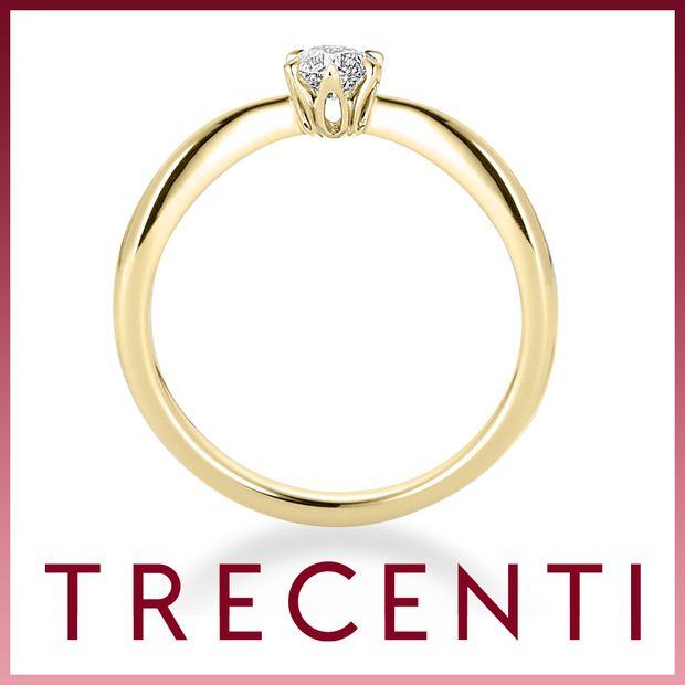 【TRECENTI(トレセンテ)】ウェヌスV（VENUS-NB）