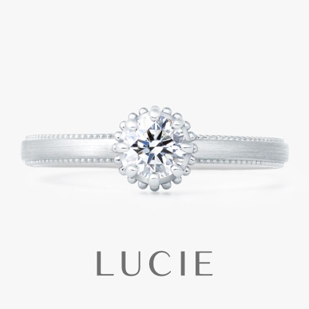 【TOMPKINS(トンプキンス)】Sentier　サンティエ