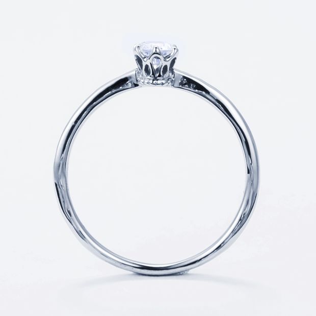 【SIENAROSE(シエナロゼ)】Birth Flower 誕生月花（11月/つばき）