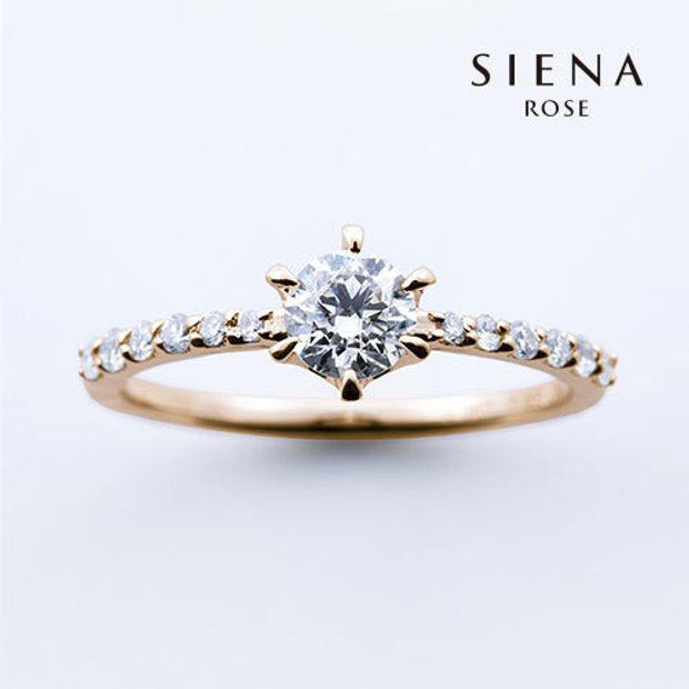 【SIENAROSE(シエナロゼ)】遥か-haruka-