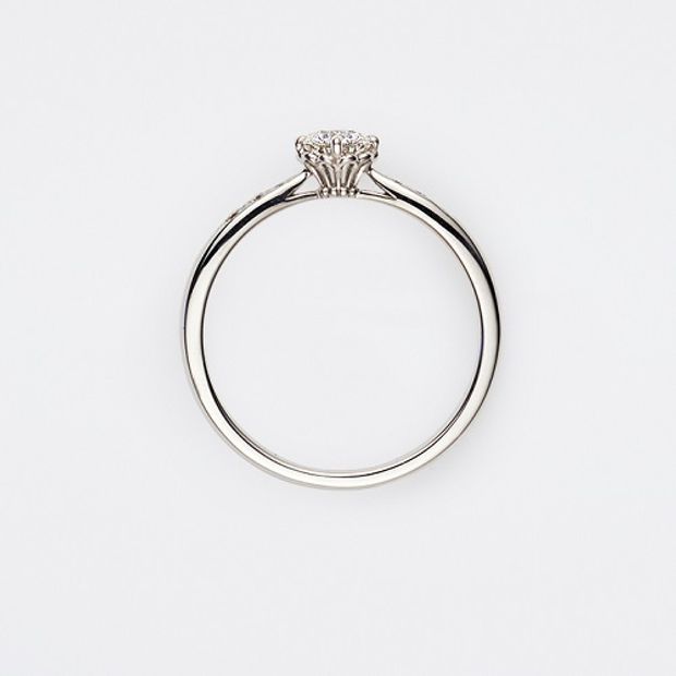 【ヴァンドーム青山(VENDOME AOYAMA)】ファースト ミート【AE_R9203】