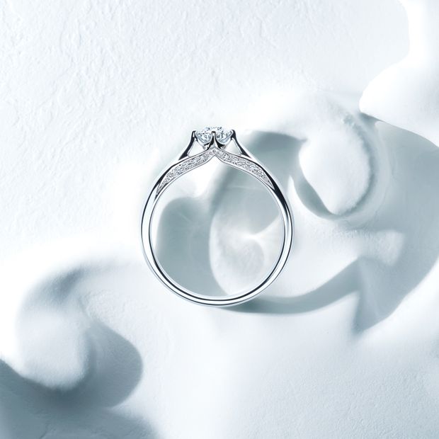 【ヴァンドーム青山(VENDOME AOYAMA)】ファースト ミート【AEPR8230/AMPR0125-S2】