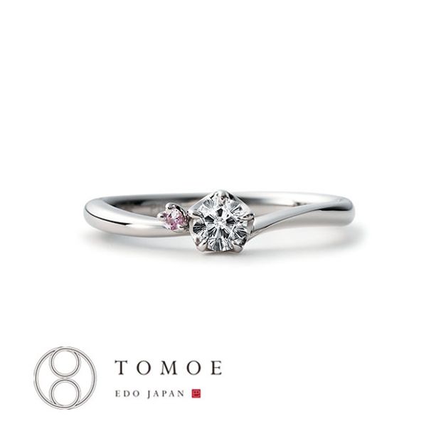 【TOMOE(トモエ)】【HIMEZAKURA】姫桜