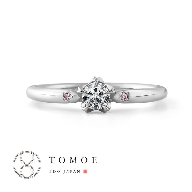 【TOMOE(トモエ)】【SOMEZAKURA】染桜