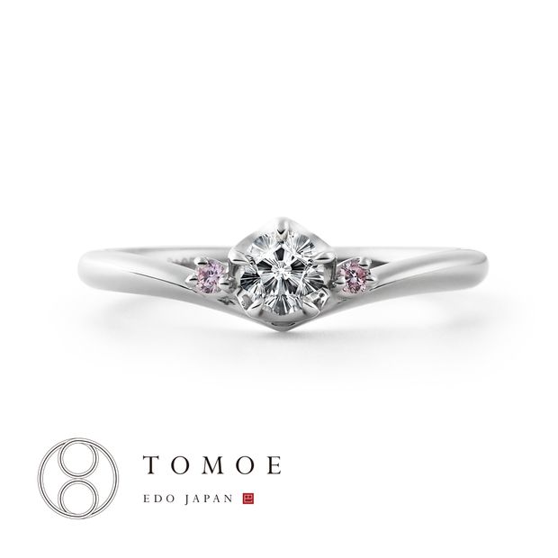 【TOMOE(トモエ)】【MAIZAKURA】舞桜