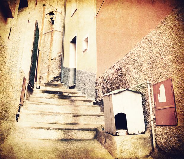 【BIJOUPIKO(ビジュピコ)】【TREPPE】トレッペ