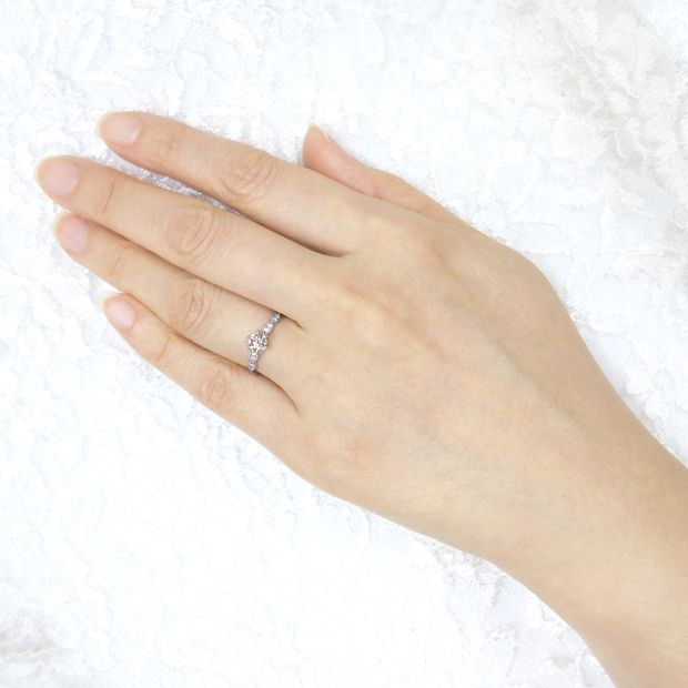 【宝寿堂(ほうじゅどう)】【宝寿堂】リフォーム例／アンティーク調で大人可愛く《HD1563》