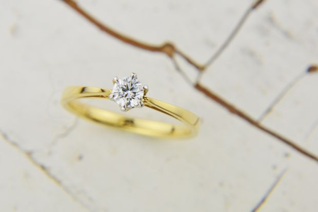 【garden(ガーデン)】ポン・ドゥ・シュリー