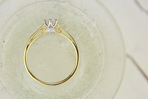 【garden(ガーデン)】ポン・ドゥ・シュリー