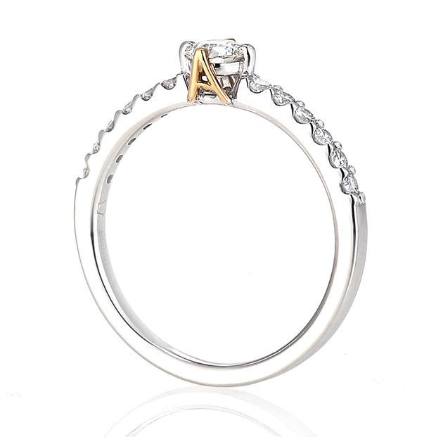 【garden(ガーデン)】Mimosa（ミモザ）