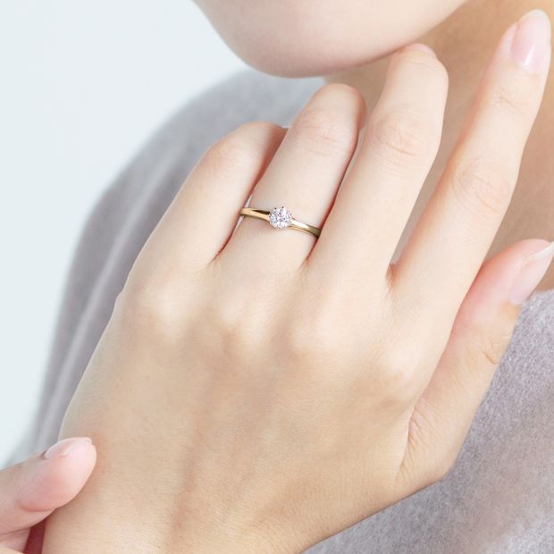 【BRILLIANCE+(ブリリアンスプラス)】ヴィダー