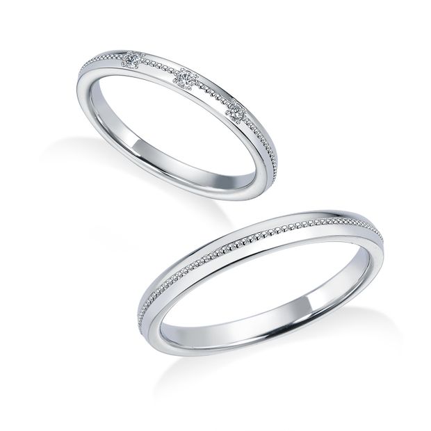 【中井脩】ロイヤルアッシャー【鳥取県のセレクトショップ】