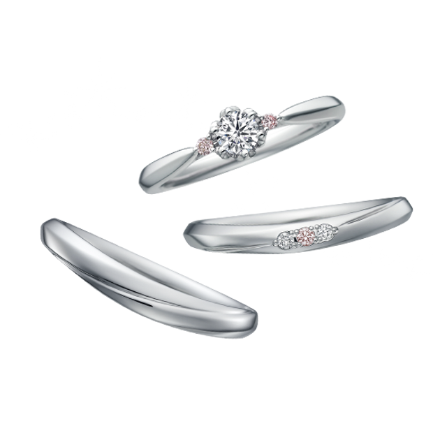 【中井脩】ディズニーシンデレラ【鳥取県のセレクトショップ】