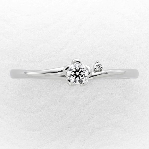 【ひな】小梅～こひなシリーズ～