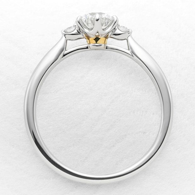 【ひな】並木道