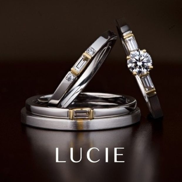 【BROOCH(ブローチ)】アルク (薔薇の橋)