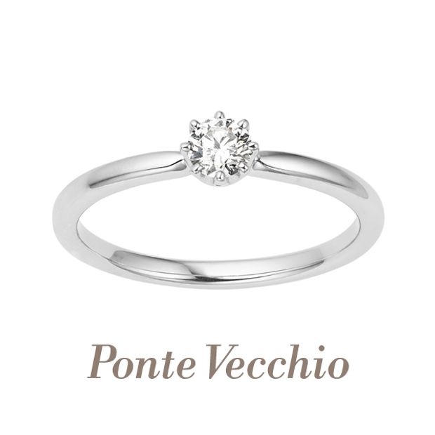 【一真堂】DAMA（ダーマ）～貴婦人～