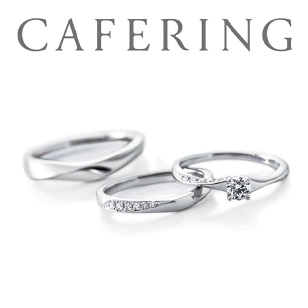 【一真堂】ノエル