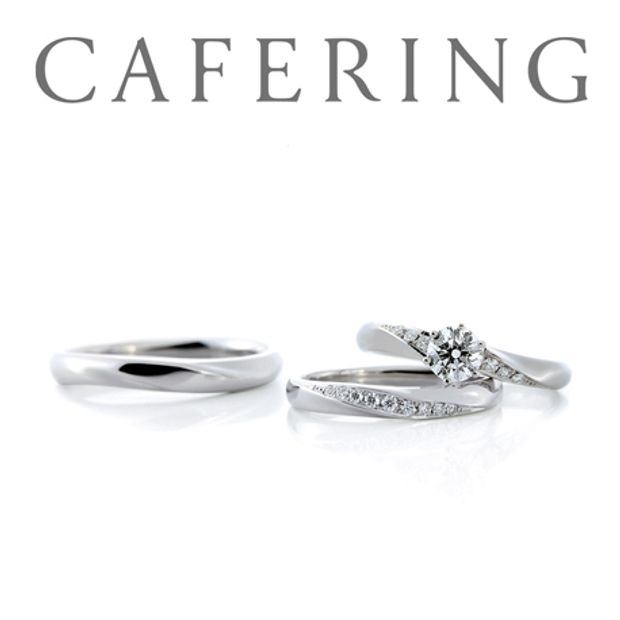 【一真堂】ウィ