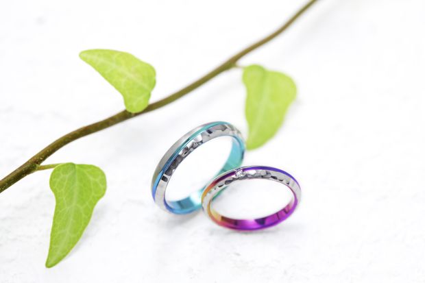 【一真堂】コースト