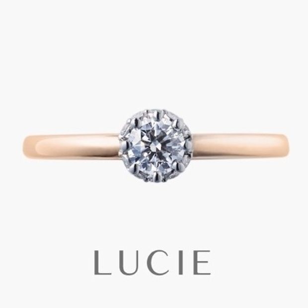 【一真堂】ブランシュ（薔薇の梢）