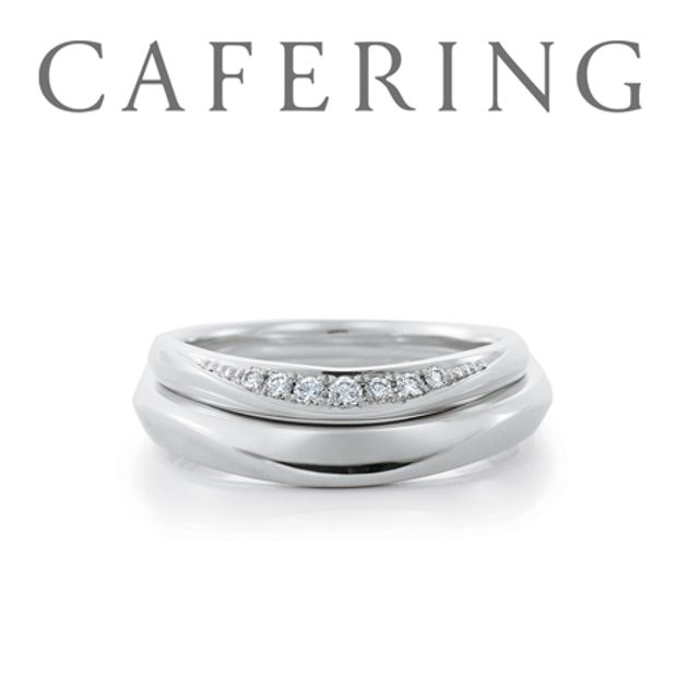 【一真堂】サツキバイ