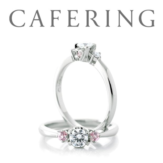 【一真堂】アンジェ