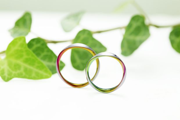 【一真堂】トリオレ