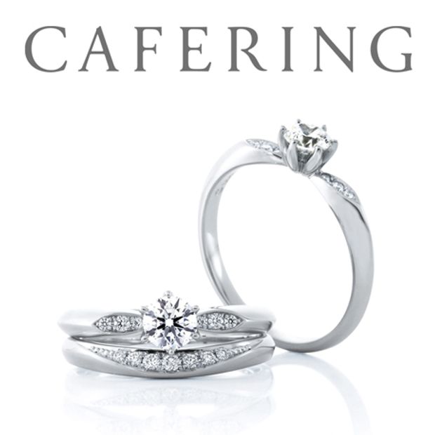 【一真堂】サツキバイ