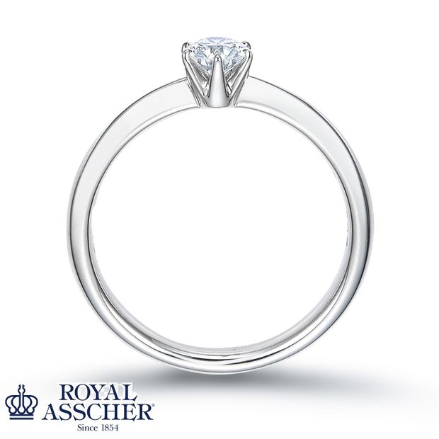 【一真堂】ERA251