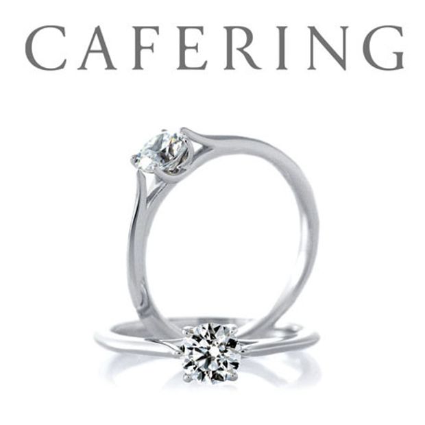 【一真堂】ロゼット