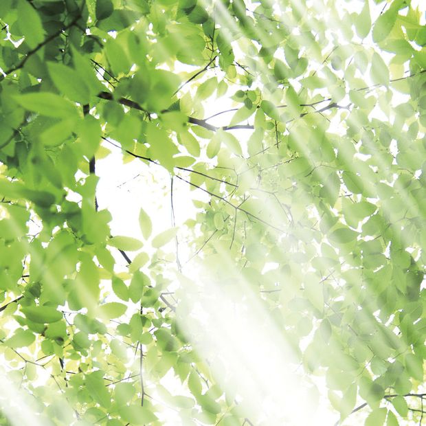 【アイアイイスズ ブライダル】【カフェリング】リュミエール