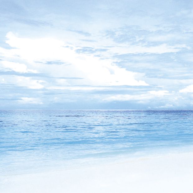 【アイアイイスズ ブライダル】【カフェリング】プラージュ