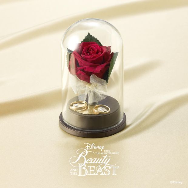 【VANillA(ヴァニラ)】【Rose in Motion &ndash; ローズ・イン・モーション -】動きだした愛