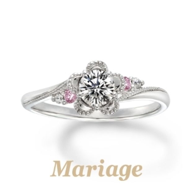 【VANillA(ヴァニラ)】【 Noblesse 】 ノブレッセ