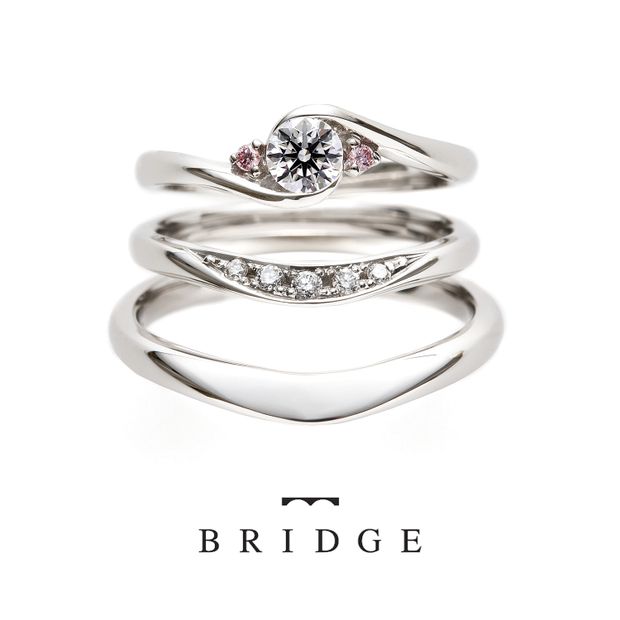 【VANillA(ヴァニラ)】【 Rose Garden 】 薔薇のアーチ