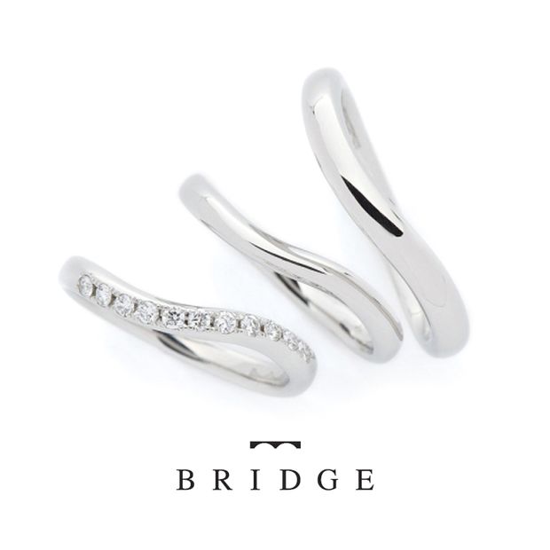 【VANillA(ヴァニラ)】【 WINTER CAMELLIA & MORNING WAVE 】 運命の花 & つむぎ