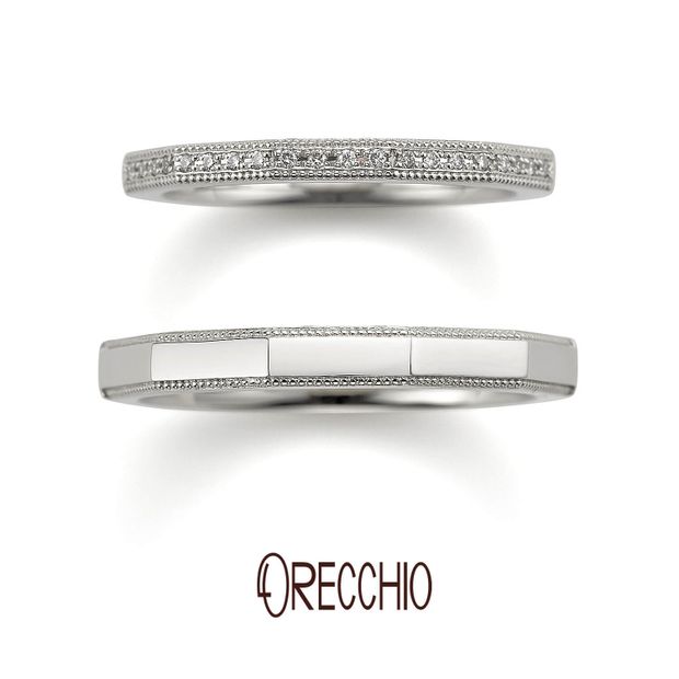 【VANillA(ヴァニラ)】【 safari 】 サファリ（FM-2226 / FM-2225）