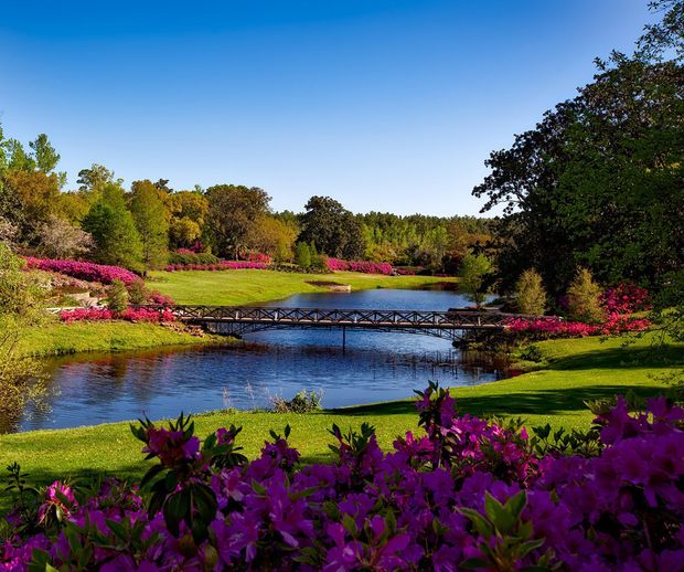 【GRACIS(グラシス)】【AFFLUX 】 ruscello( ルシェロ )