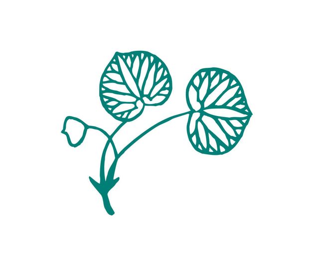 【GRACIS(グラシス)】【AFFLUX 】 Auhi( アウヒ )