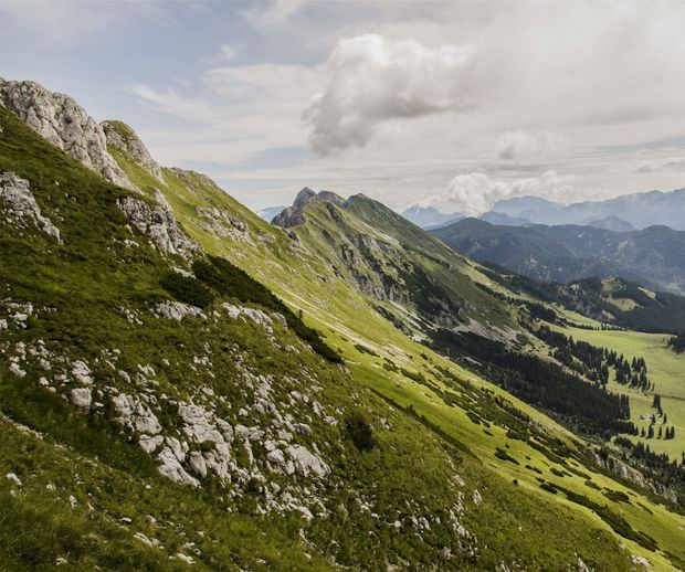 【GRACIS(グラシス)】【AFFLUX 】 Kamm( カム )