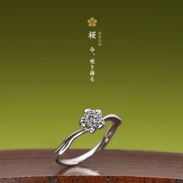 【GRACIS(グラシス)】【萬時】桜( Sakura )