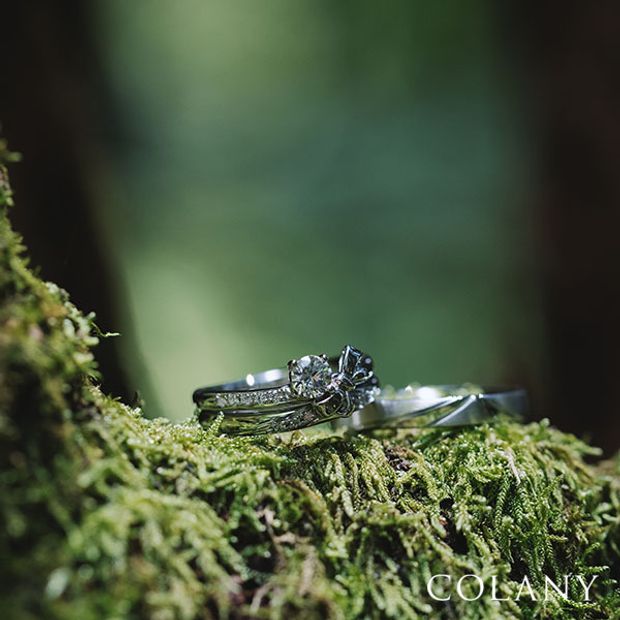 【tamaya BRIDAL(宝石の玉屋)】IN OUR WISH～Ｏｐｕｓ2