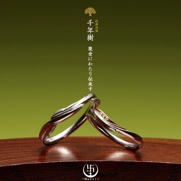 【JEWEL SEVEN BRIDAL(ジュエルセブンブライダル)】千年樹