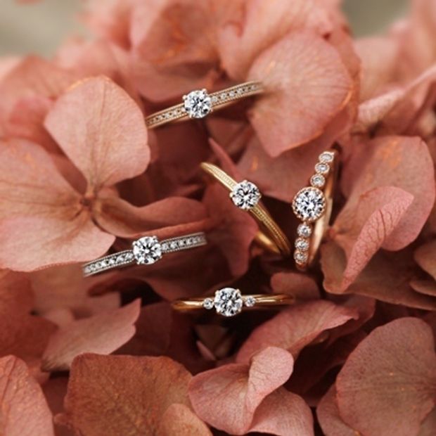 【JEWEL SEVEN BRIDAL(ジュエルセブンブライダル)】BOUVARDIA-ブバルディア-